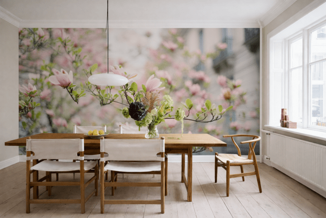 Magnolia Bloom