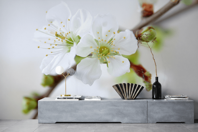 Orchid Whisper