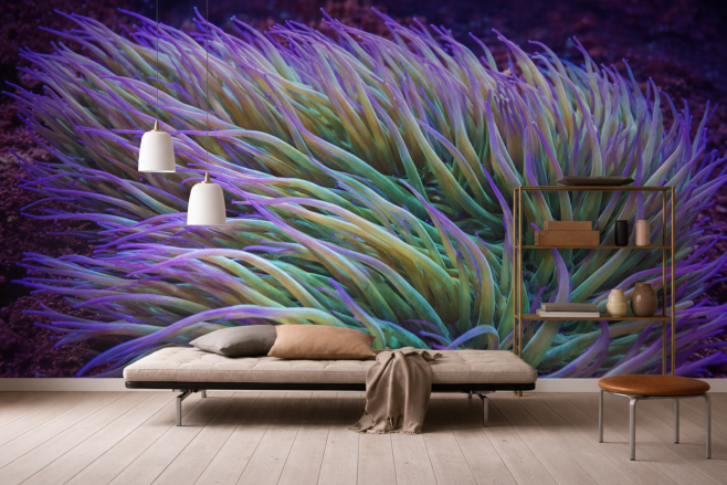 Saffron Wave