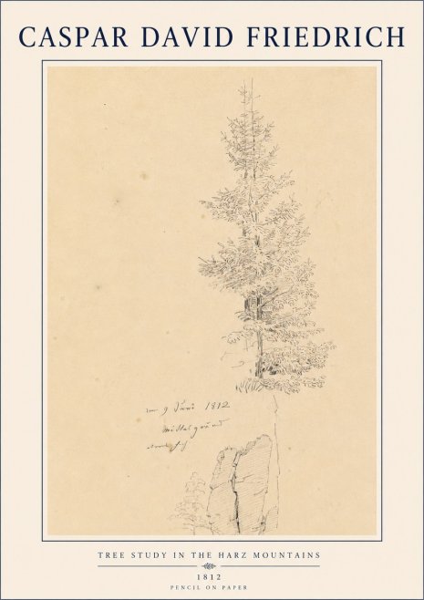 Caspar David Friedrich Tree Study in the Harz Mountains No4 - Poster