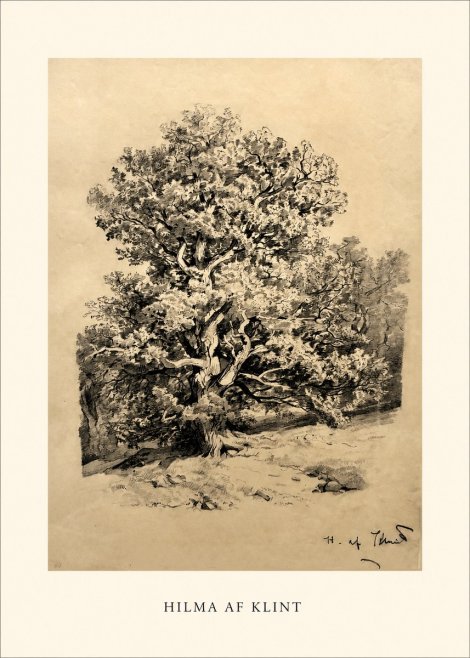 Hilma af Klint Large Tree Landscape No1 - Poster