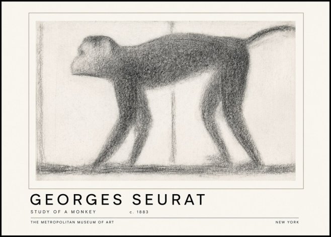 Seurat Study of a Monkey No6 - Poster