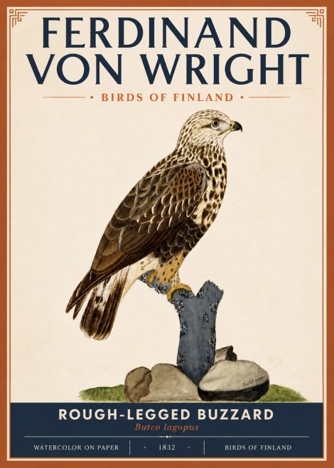 Ferdinand von Wright Rough-legged Buzzard No5 - Poster