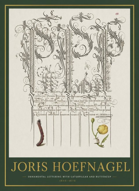 Joris Hoefnagel Ornamental Calligraphy with Caterpillar and Buttercup No2 - Poster