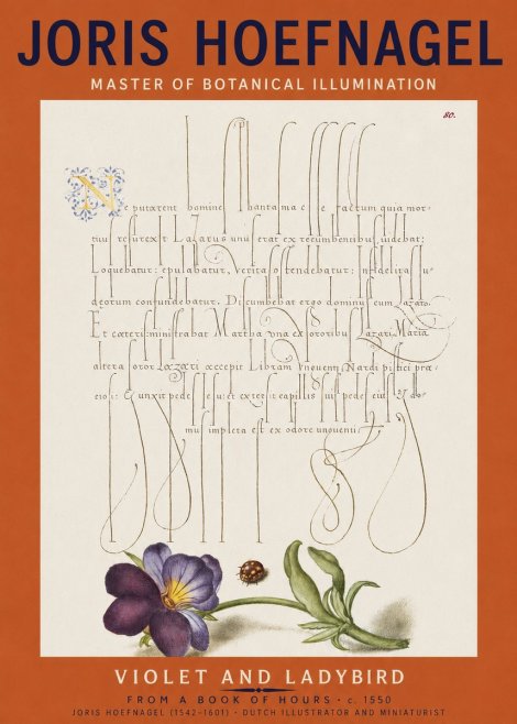 Joris Hoefnagel Violet and Ladybird No2 - Poster