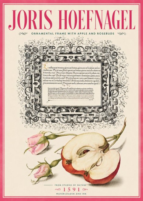 Joris Hoefnagel Illuminated Calligraphy and Botanical Study No6 - Poster