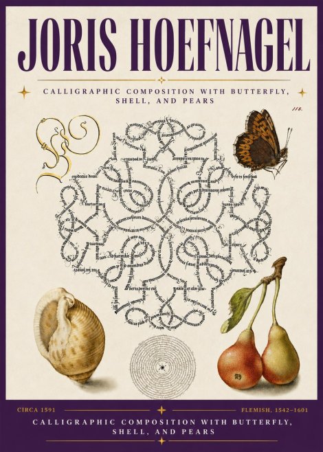 Joris Hoefnagel Calligraphic Composition with Butterfly, Shell, and Pears No6 - Poster