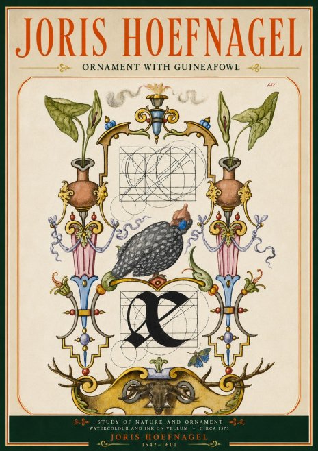 Joris Hoefnagel Ornament with Guineafowl No5 - Poster