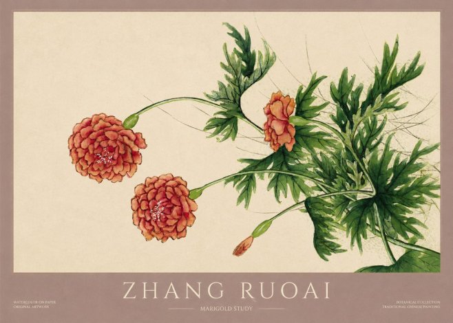 Zhang Ruoai Marigold Study No1 - Poster