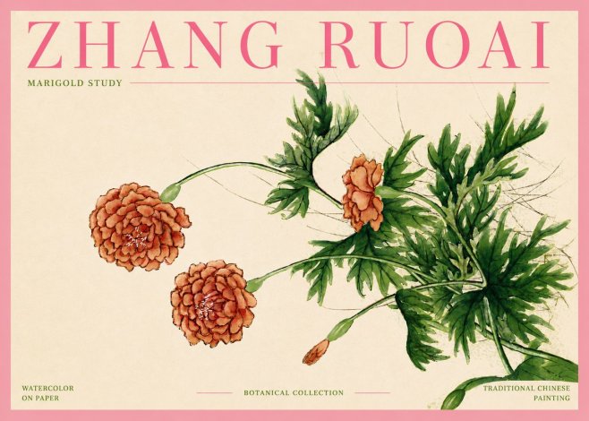 Zhang Ruoai Marigold Study No4 - Poster