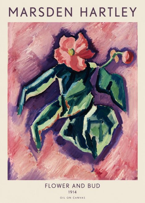 Marsden Hartley Flower and Bud No1 - Poster
