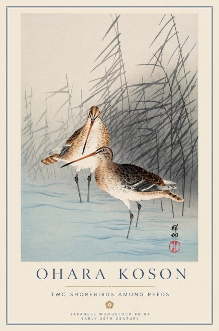 Ohara Koson Snipe in the Reeds No2 - Poster