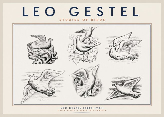 Leo Gestel Studies of Birds No2 - Poster