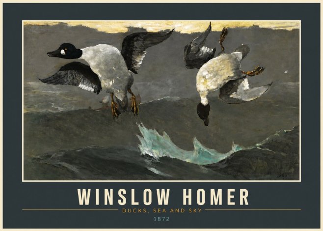 Winslow Homer Ducks, Sea and Sky No2 - Poster