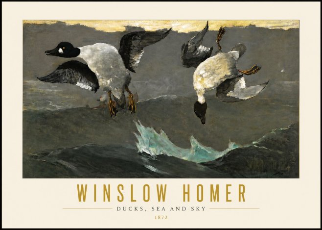 Winslow Homer Ducks, Sea and Sky No4 - Poster