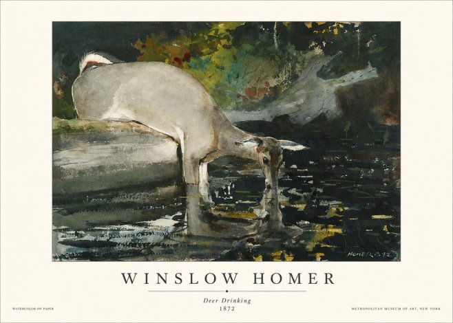 Winslow Homer Deer Drinking No1 - Poster