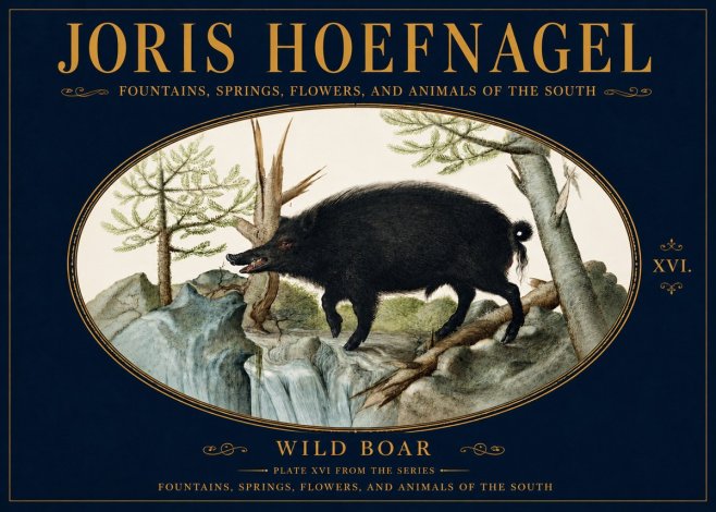 Joris Hoefnagel Fountains, Springs, Flowers, and Animals of the South - Plate Xvi No5 - Poster