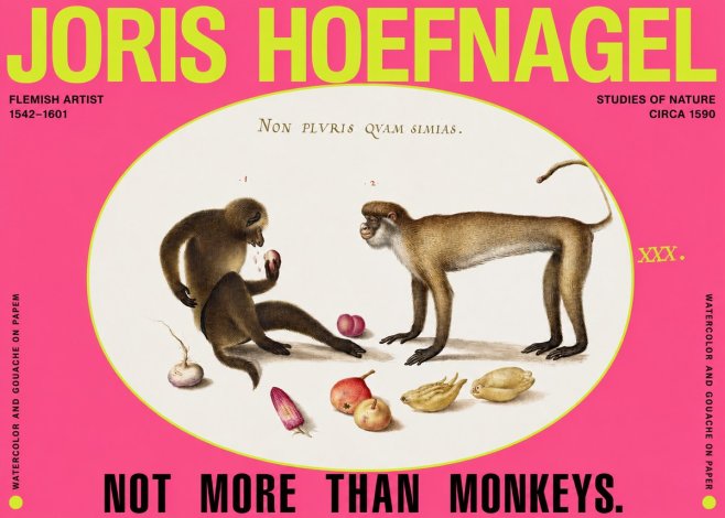 Joris Hoefnagel Not More Than Monkeys No2 - Poster