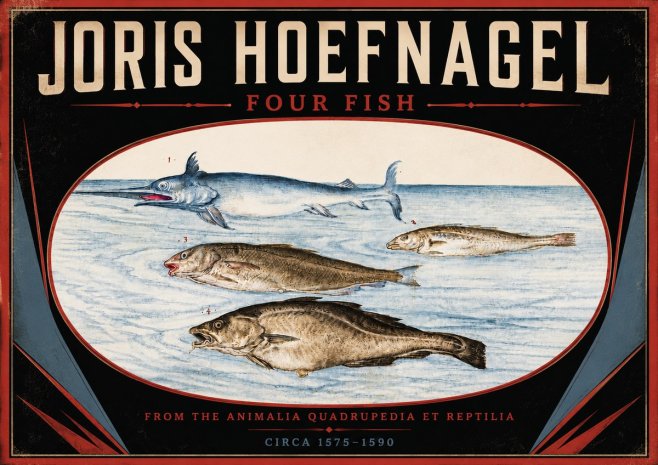 Joris Hoefnagel Four Fish No5 - Poster
