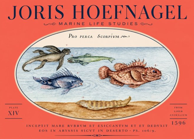Joris Hoefnagel Pro Perca Scorpivm No5 - Poster