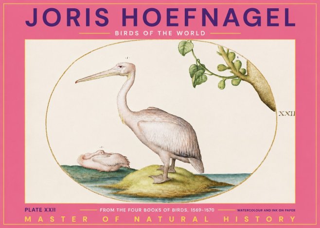 Joris Hoefnagel Plate Xxii No2 - Poster