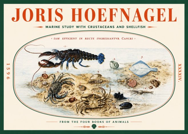 Joris Hoefnagel Marine Study with Crustaceans and Shellfish No5 - Poster