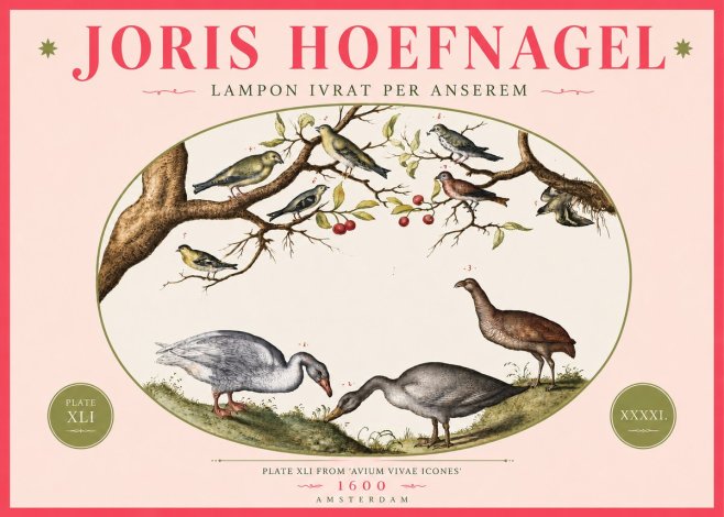 Joris Hoefnagel Lampon Ivrat per Anserem No4 - Poster