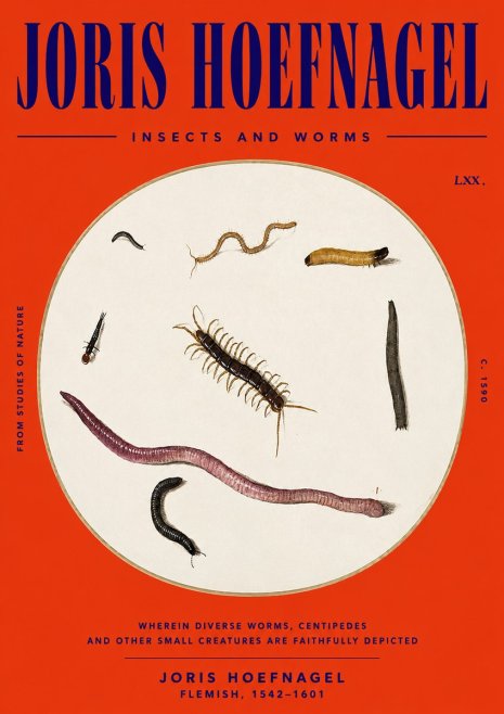 Joris Hoefnagel Creatures of the Earth II No6 - Poster