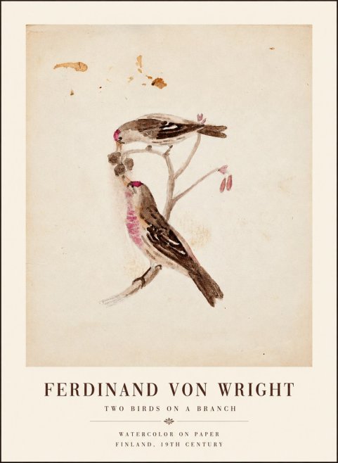 Ferdinand von Wright Two Birds on a Branch No1 - Poster
