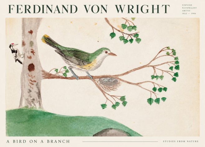 Ferdinand von Wright Green Warbler with Nest No3 - Poster