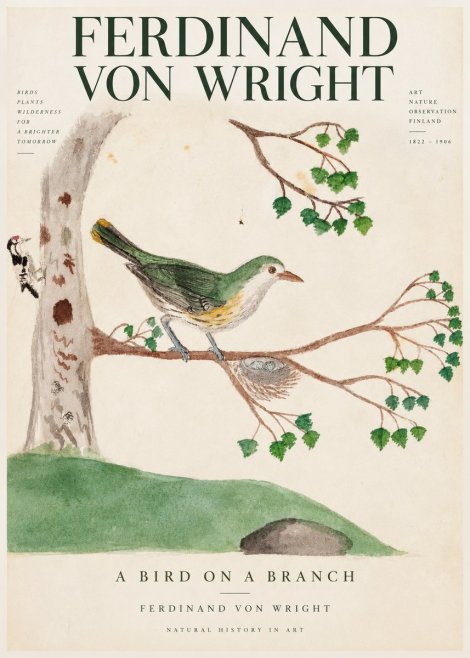 Ferdinand von Wright Green Warbler with Nest No4 - Poster