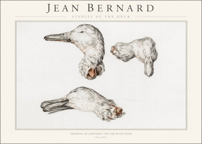 Jean Bernard Studies of the Duck No1 - Poster