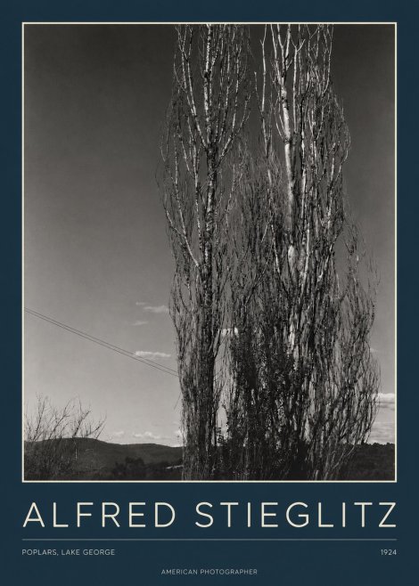 Alfred Stieglitz Trees - Lake George, 1921 No4 - Poster