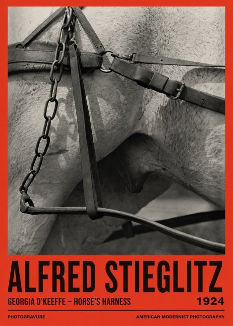 Alfred Stieglitz The Steerage I No3 - Poster