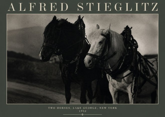 Alfred Stieglitz Two Horses, Lake George, New York No3 - Poster