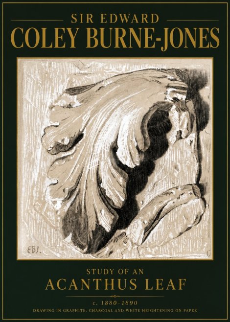 Edward Burne-Jones Study of an Acanthus Leaf No5 - Poster