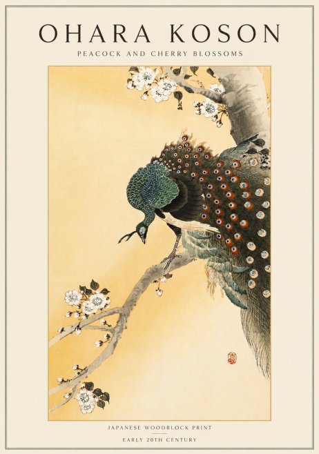 Ohara Koson Peacock and Cherry Blossoms No4 - Poster