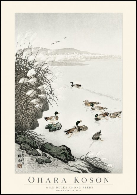 Ohara Koson Wild Ducks Among Reeds No1 - Poster