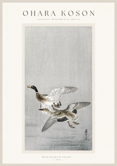 Ohara Koson Wild Ducks in Flight No1 - Poster