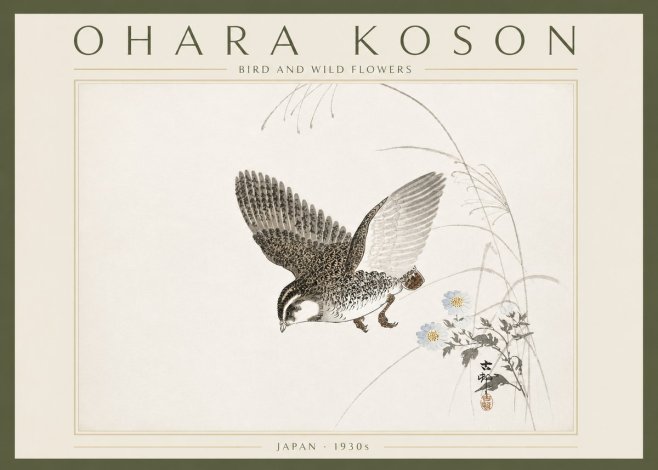 Ohara Koson Bird and Wild Flowers No6 - Poster