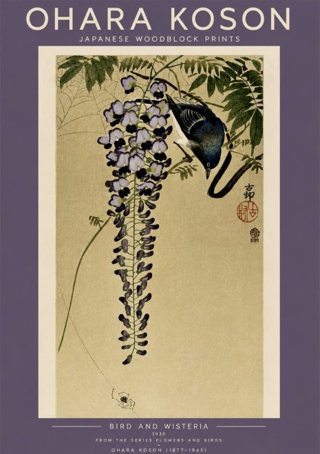 Ohara Koson Bird and Wisteria No4 - Poster