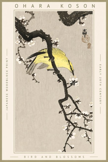 Ohara Koson Bird and Blossoms No4 - Poster