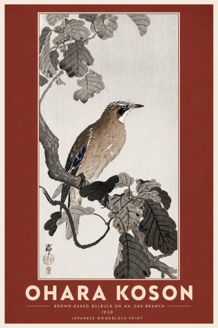 Ohara Koson Brown-eared Bulbul on an Oak Branch No6 - Poster