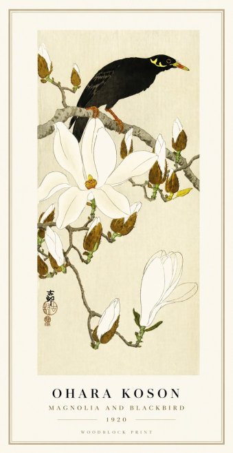 Ohara Koson Magnolia and Blackbird No1 - Poster