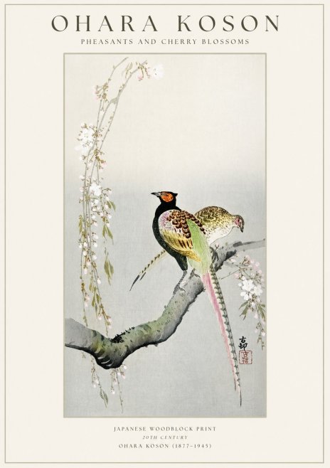 Ohara Koson Pheasants and Cherry Blossoms II No1 - Poster