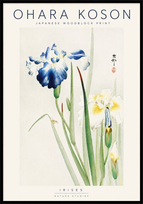 Ohara Koson Irises II No3 - Poster
