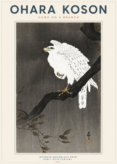 Ohara Koson Hawk on a Branch II No5 - Poster