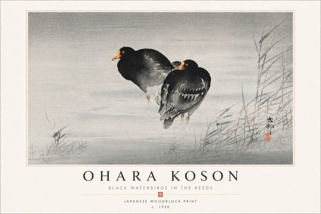 Ohara Koson Black Waterbirds in the Reeds No4 - Poster