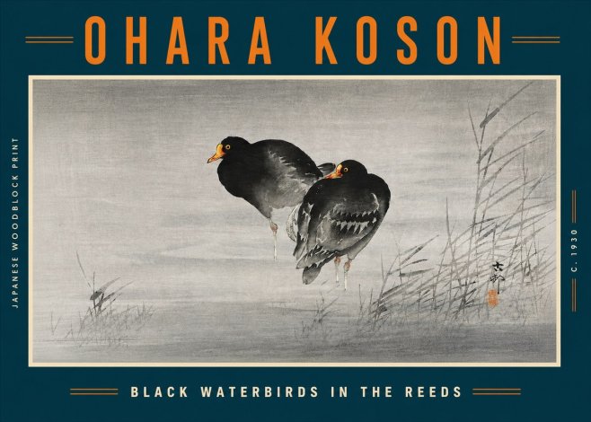 Ohara Koson Black Waterbirds in the Reeds No5 - Poster