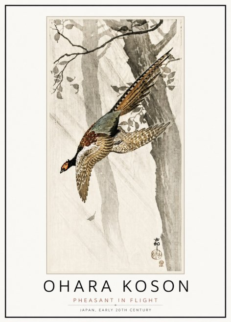 Ohara Koson Pheasant in Flight No4 - Poster